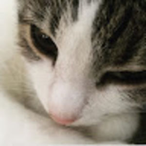 Meet your Posher, Roxanne